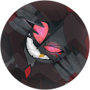 Sol profile picture